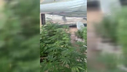 Son dakika haber! DİYARBAKIR - Eylül ayında uyuşturucu operasyonlarında 93 kişi tutuklandı