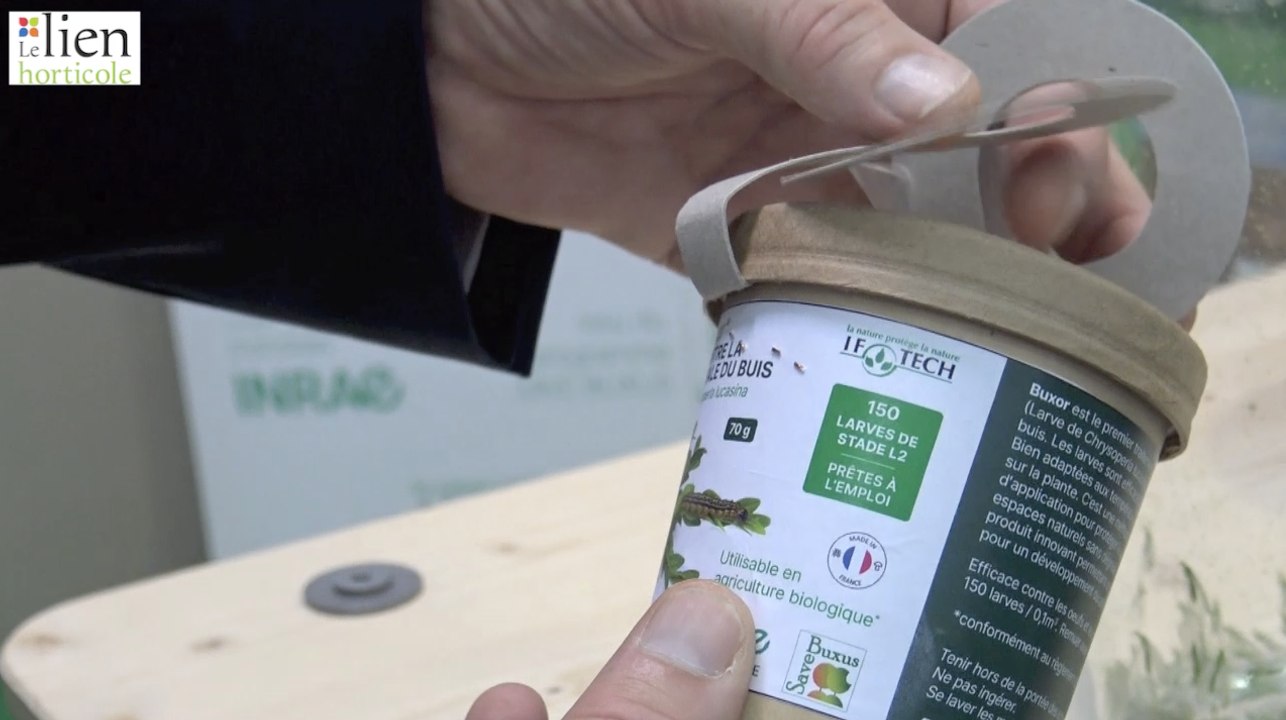 Buxor® contre la pyrale du buis