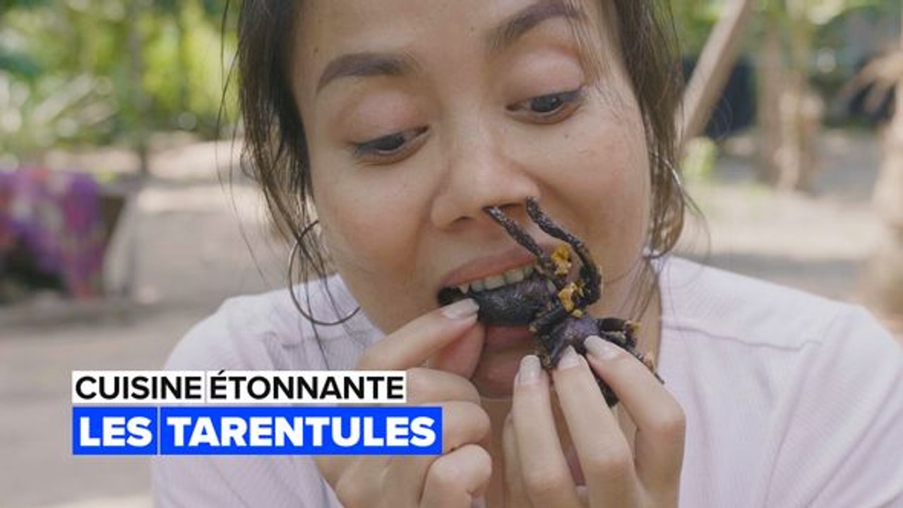 Cuisine étonnante : les tarentules