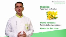Hipérico, cuándo y cómo tomarlo. Tu farmacéutico informa