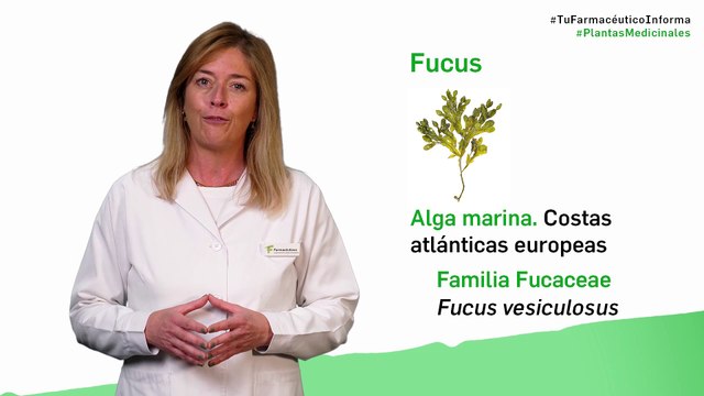 Fucus, cuándo y cómo tomarlo. Tu Farmacéutico informa