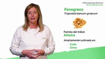 Fenogreco, cuándo y cómo debemos tomarlo. Tu Farmacéutico Informa