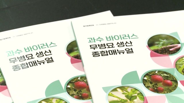 [녹색] 농가 효자는 무병묘...병에 안 걸려 소득 쑥쑥 / YTN