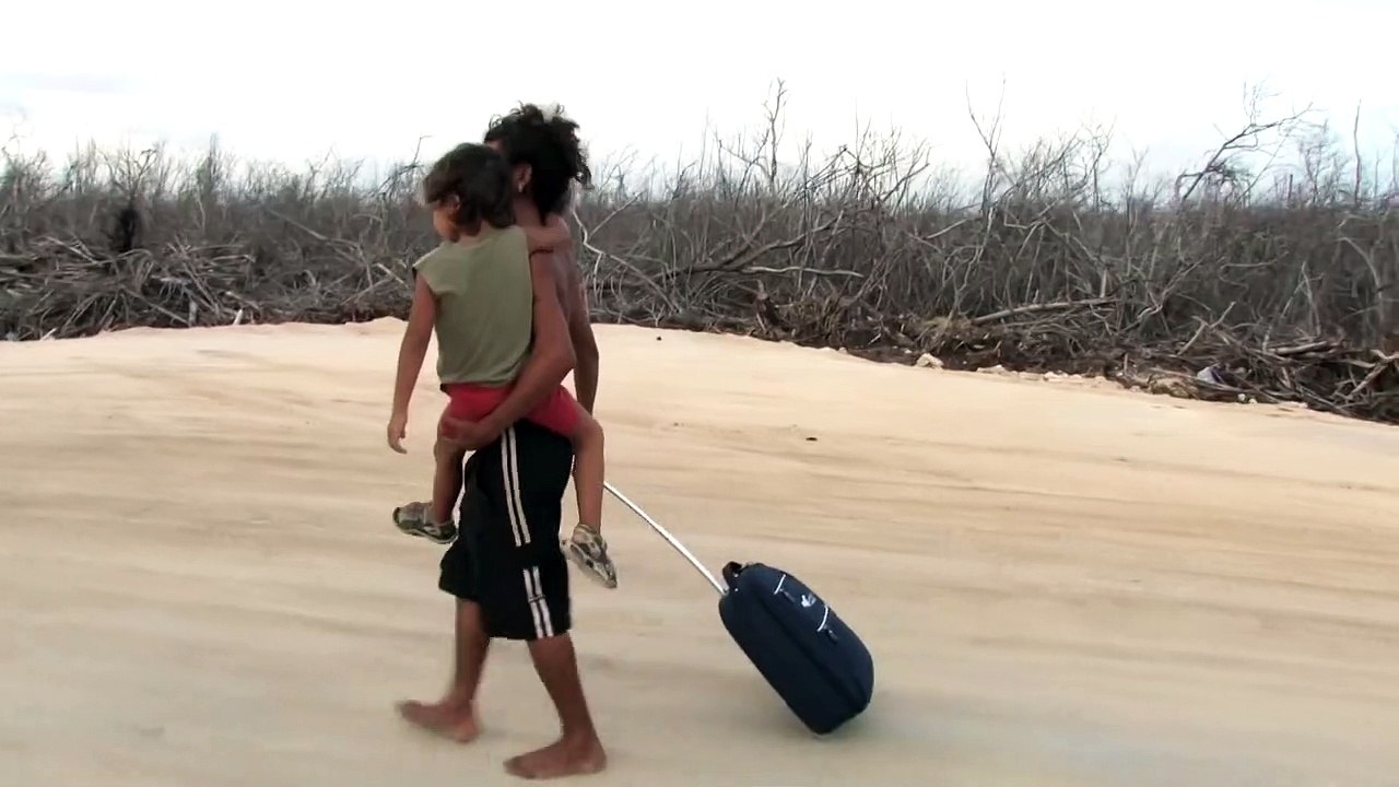 Alamar