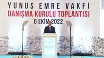 Kültür ve Turizm Bakanı Ersoy, Yunus Emre Vakfı Danışma Kurulu Toplantısı'nda konuştu