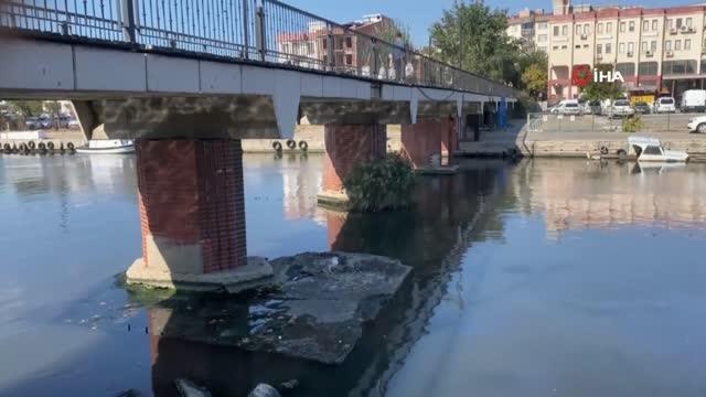Çanakkale haberleri... Çanakkale'de kanadı kırılarak köprü ayağında mahsur kalan martıyı ekipler kurtardı