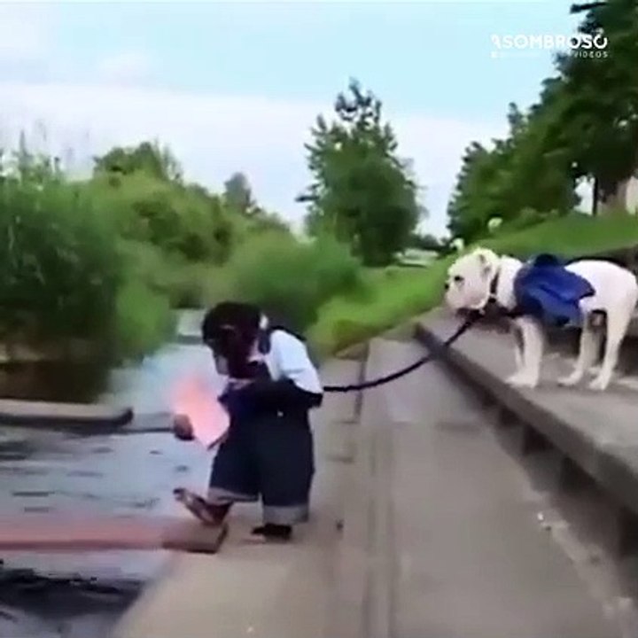 La Perseverancia