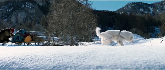 Belle & Sebastien - Amici per sempre