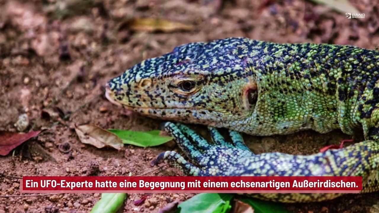 Ufologe behauptet, einer außerirdischen Echse begegnet zu sein