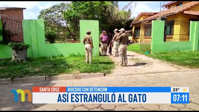 Cruel video: Hombre estranguló a un gato ante la presencia de vecinos.