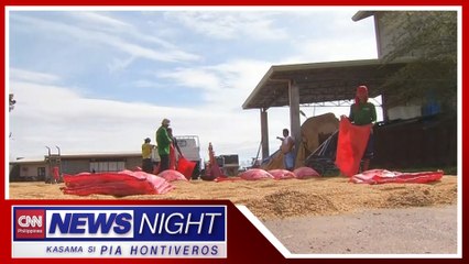 Pagbaba ng presyo ng palay, idinadaing ng grupo ng mga magsasaka