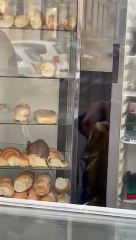 El video de una rata adentro de una panadería en Congreso