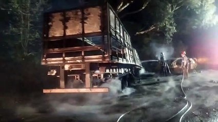 Quatro veículos pegam fogo e uma pessoa morre na BR-376