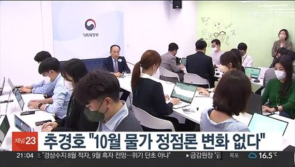 추경호 "10월 물가 정점론 변화 없다"