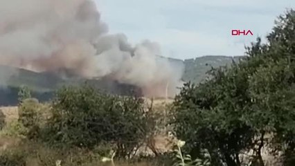 Son dakika haberi! ÇANAKKALE'DE ORMAN YANGINI
