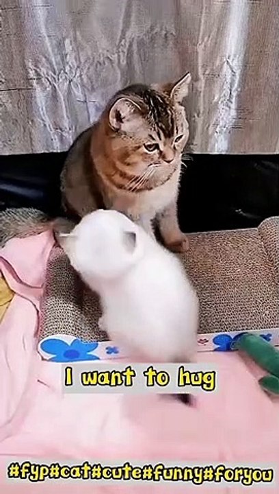 I want hug