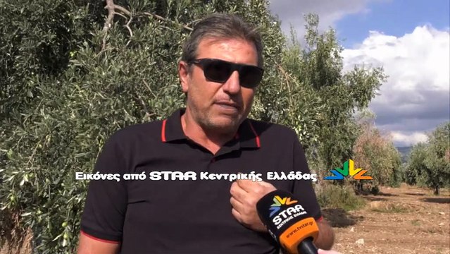 Έτοιμοι να εγκαταλείψουν τα χωράφια τους είναι οι ελαιοπαραγωγοί της Αταλάντης