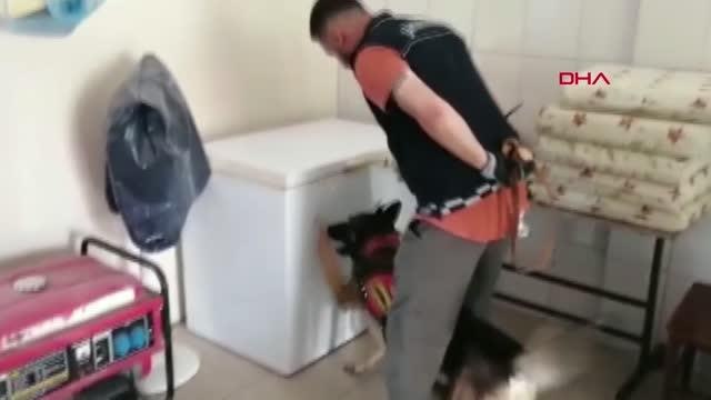 Son dakika haberleri... HATAY'DA UYUŞTURUCU VE SAHTE İÇKİ OPERASYONU 1 GÖZALTI