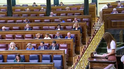 PP y Vix se quedan solos en su oposición frontal a la Ley Trans.