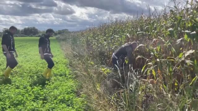 Samsun gündem haberleri: Samsun'da düzenlenen uyuşturucu operasyonunda 4 zanlı gözaltına alındı
