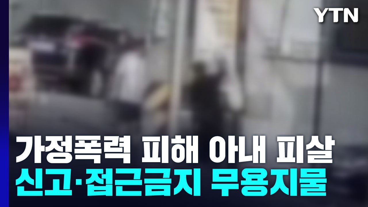 가정폭력 신고도 접근금지 명령도 살해 못 막아..."추가 조치 절실" / YTN