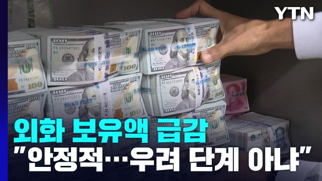 외화보유액, 한 달 만에 200억 달러 감소...역대 2위 / YTN
