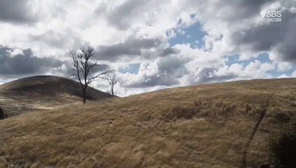 The Australian Wars Season 1 Episode 2