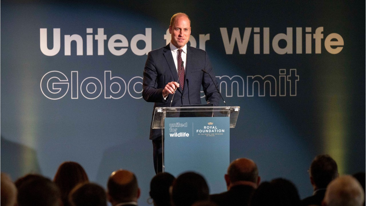 Prince William branded a ‘hypocrite’ after giving a speech at United for Wildlife summit