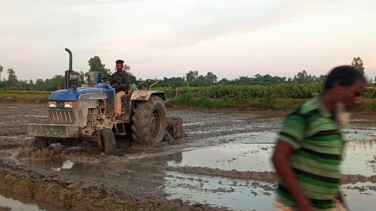 VID_20220804_184429