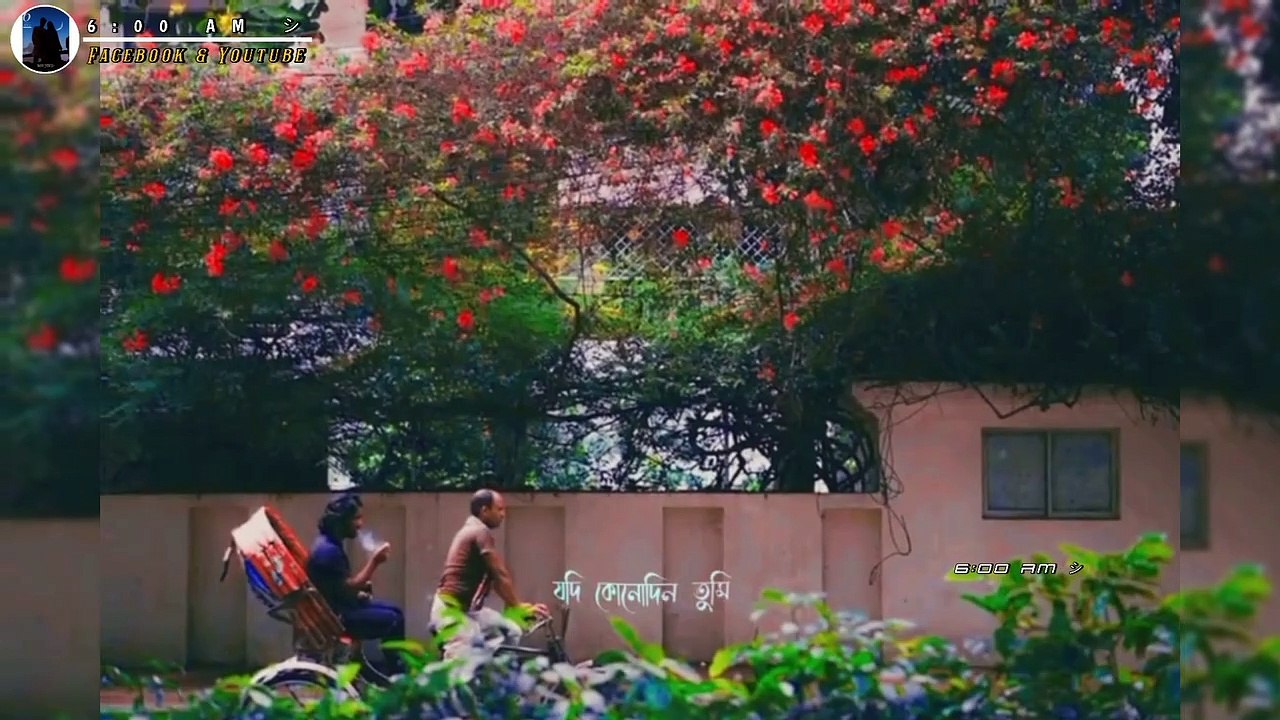 নেই আমি status Video |