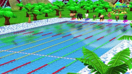 Counting Numbers Zoo Animals Swimming Race Fun Play Video