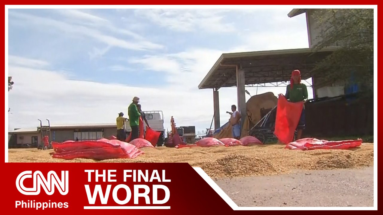 Farmers' group decries falling palay prices