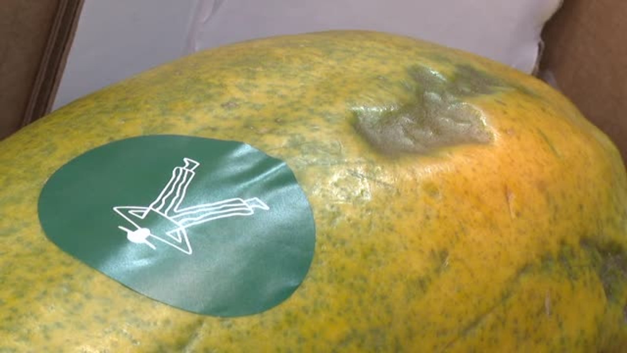 Crean una nueva línea de fruta más barata con imperfecciones estéticas