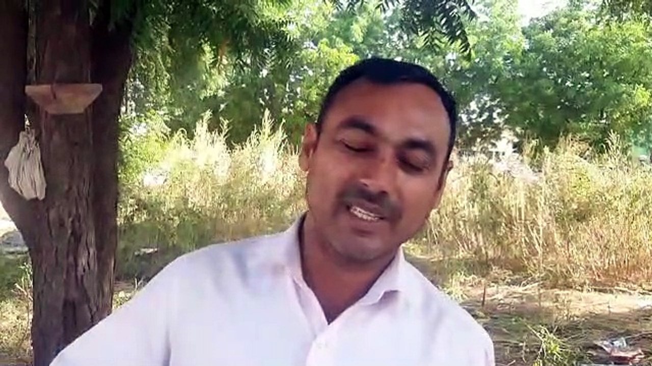 मजबूर किसान मंडी में बेच रहे मूंग, सरकार बनी मूकदर्शक