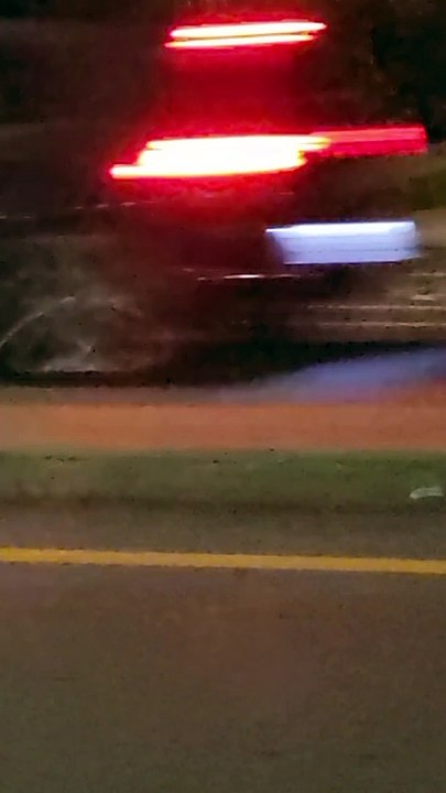 Saving Little Skunk with the Trash Helmet