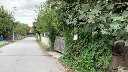 Yol kenarındaki bahçesinde meyve ağaçlarına "Helaldir, yiyin" diye yazı astı