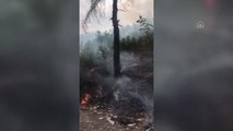 Ormanlık alanda çıkan yangın söndürüldü
