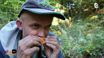 SI ON PARLAIT - 06/10/22 - Champignons, Théâtre en Rond, Sirènes - Si On Parlait - TéléGrenoble
