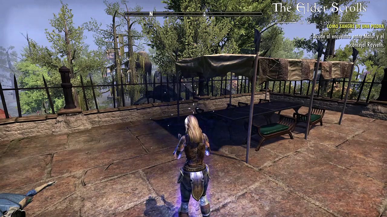 The Elder Scrolls Online ESPAÑOL #10 Como sangre de una piedra - Parte 2 - canalrol 2022