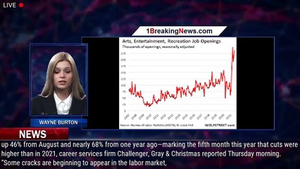 Labor Market 'Cracks' Beginning To Appear As Job Cuts Surge And Unemployment Claims Unexpected - 1br