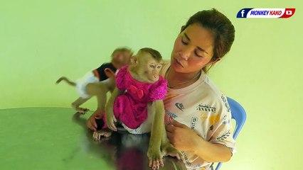 Sister LUNA With Brother OLLY Playing On Table