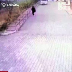 10 köpek birden saldırdı, okul çantası ile kurtuldu