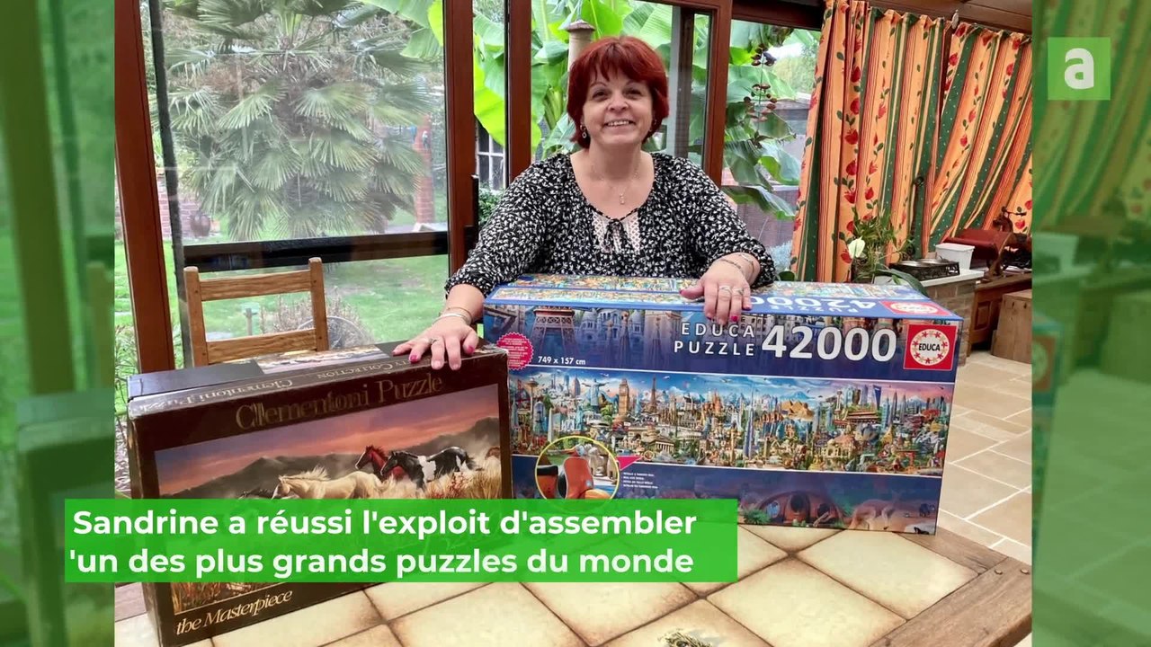 Puzzle géant