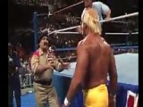 Hulk Hogan vs Sergeant Slaughter (Sgt.  Slaughter) Full Match