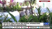 Siguatepeque se prepara para celebrar su internacional Festival de Las Flores