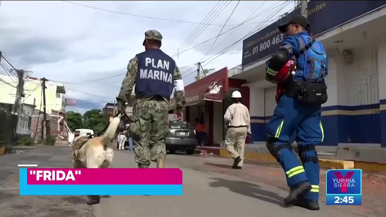 Rinden homenaje a "Frida", la perrita rescatista del 19S