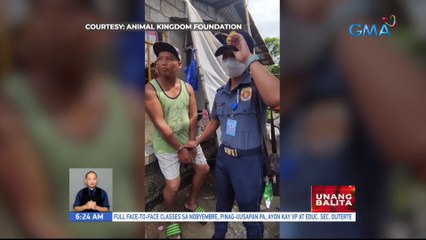 Lalaking sangkot umano sa dog meat trade, arestado; 11 aso, nakumpiska | UB