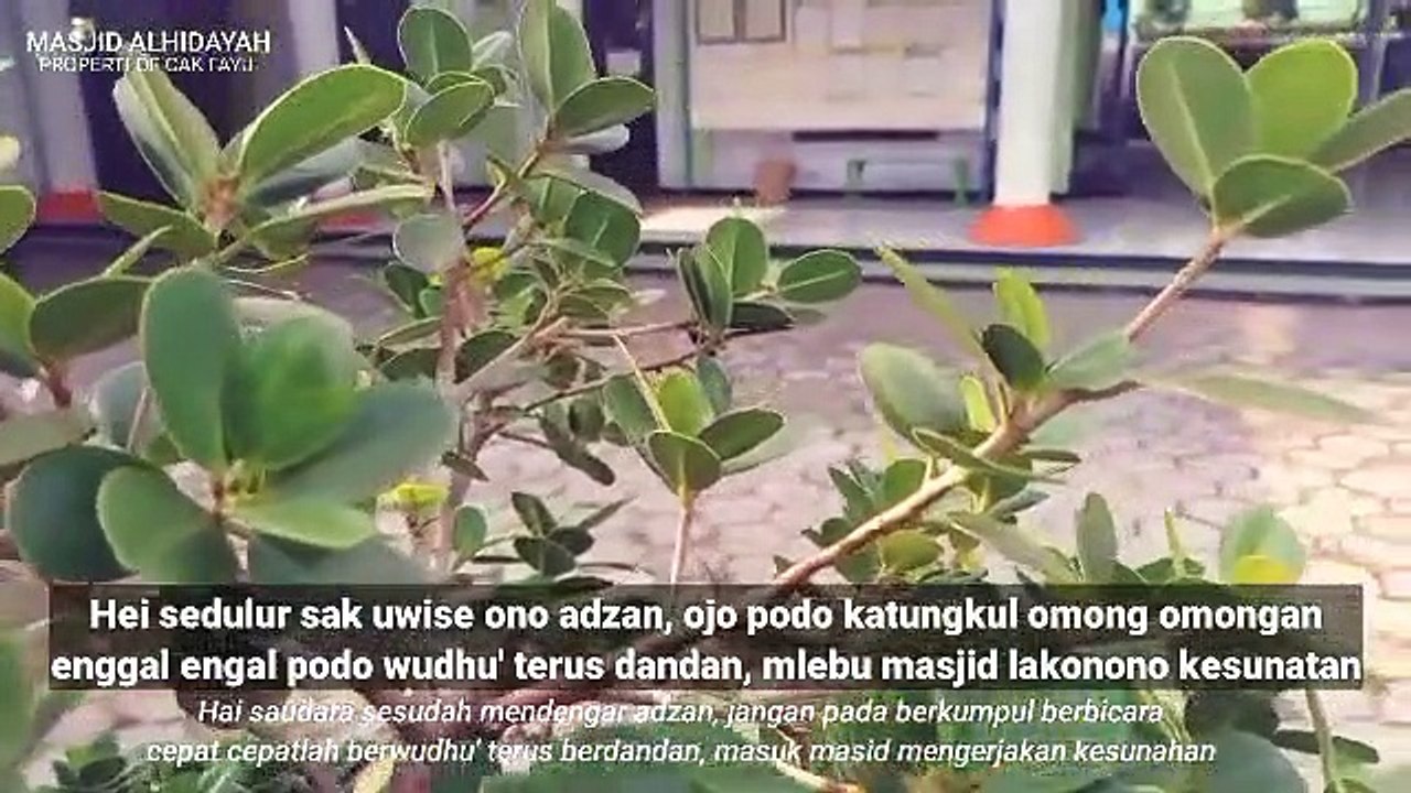 PUJIAN J4W4 KUNO