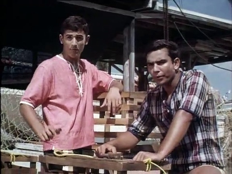 Flipper Staffel 2 Folge 21 HD Deutsch