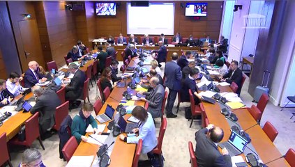 Commission des finances : Projet de loi de finances pour 2023  (suite) - Jeudi 6 octobre 2022